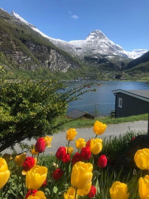 Solhaug Fjordcamping Geiranger Exterior photo